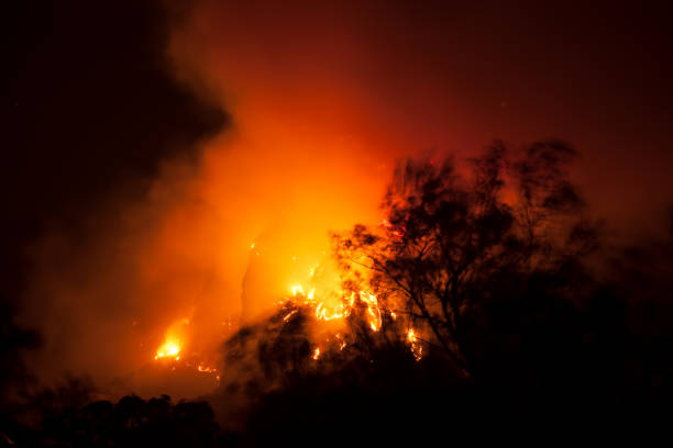 istock Wildfire in mountains at night 1144619580