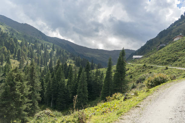 istock Trekking in Alps summer vacation 1144620017