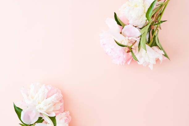 istock Flat lay composition with light pink peonies on a pink background 1144621033