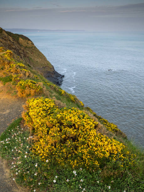 istock The very beautiful coast path on the North Devon coast of England 1144621062