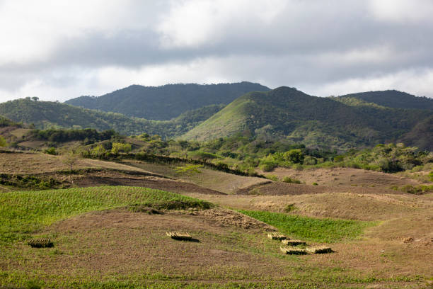 agriculture fields in the highlands of cuba.