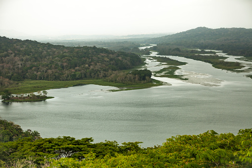 lake gatun at the gamboa rainforest ends at the panama canal in panama.