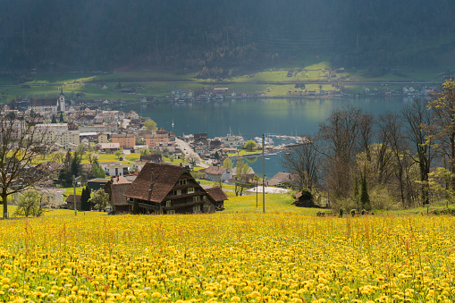the village of Arth on Lake Zug in the central alps of Switzerland