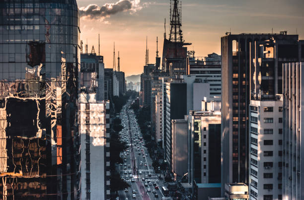 Viewpoint of Paulista