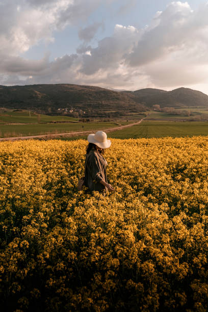 istock Unrecognizable woman walking among flowers 1144626269