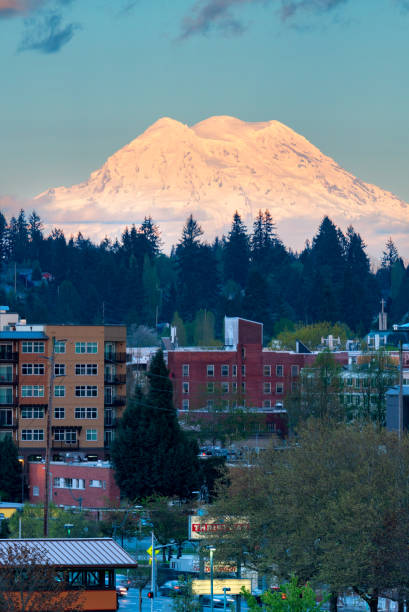 istock Mount Rainier And Olympia 1144628816