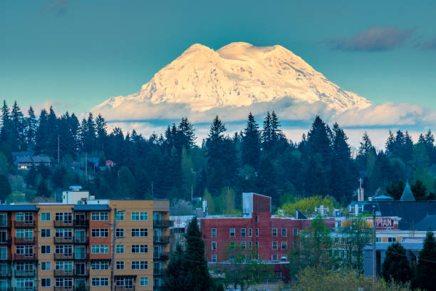 istock Mount Rainier And Olympia 1144628818