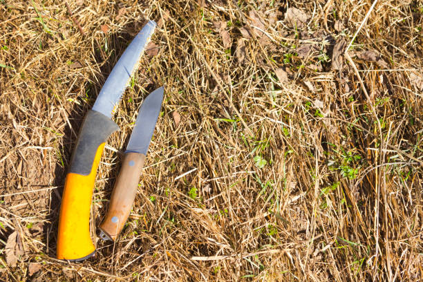 istock knife and foldable saw lie on the grass 1144631998