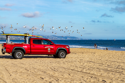 Newport Beach, CA / USA – April 6, 2019: A flock of seagulls fly pass a Newport Beach Lifeguard truck on beach near the Balboa Peninsula.