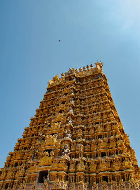 temple hindou (nallur kandaswamy kovil) à jaffna au sri lanka - gopuram architecture and buildings temple sri lanka photos et images de collection