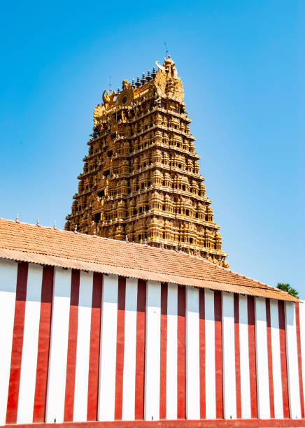 temple hindou (nallur kandaswamy kovil) à jaffna au sri lanka - gopuram architecture and buildings temple sri lanka photos et images de collection