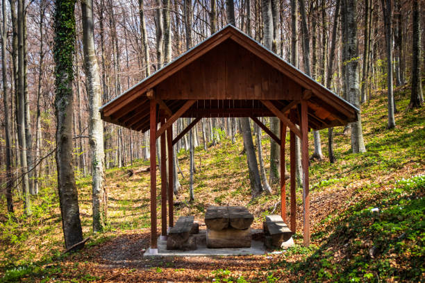 istock Place for camping or picnic 1144637502