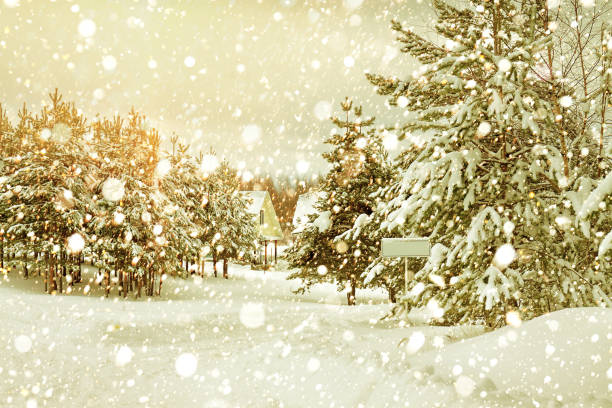 istock winter rural landscape with forest and village 1144637605