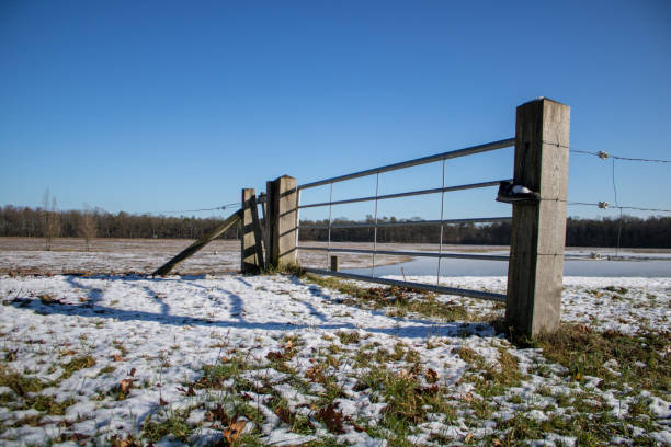 istock Iron Fence with a Shoe on it 1144638346