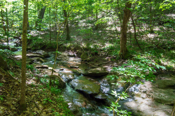 istock Little Mulberry Park, GA Mountain Stream 1144639415