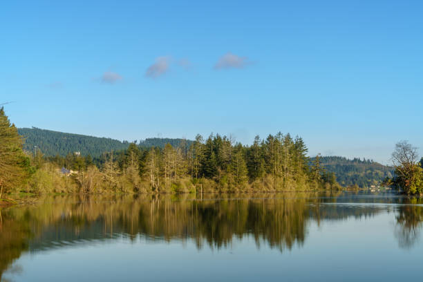 istock Calm Waters On Puget Sound 1144640509