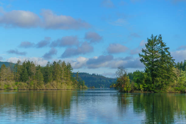istock Calm Waters Along Puget Sound 1144640621