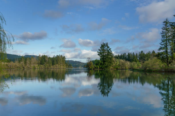 istock Calm Waters Along Puget Sound 1144640734