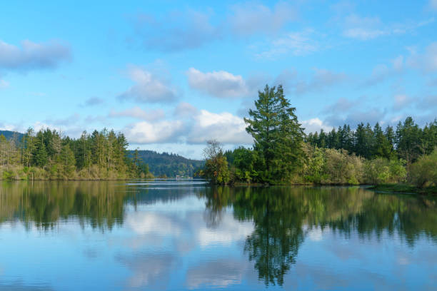 istock Calm Waters Along Puget Sound 1144641007