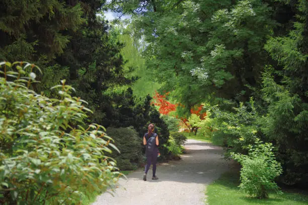 fairy tale concept, beautiful green landscape in Arboretum Volcji Potok