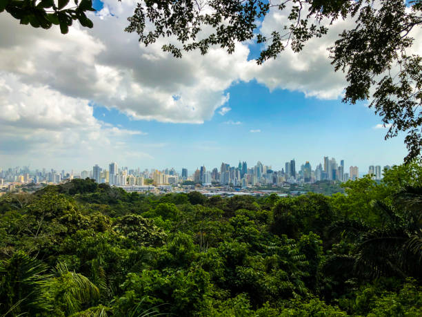 istock Panama City in January 2019 1144641549