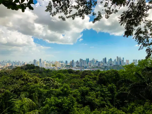 Panama City - Metropolitan Natural Park