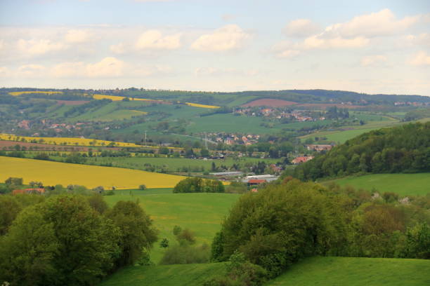 istock Blossoming rapeseed field in Saxony, Germany 1144643985