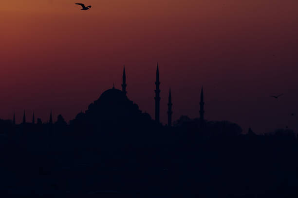 istock Silhouette of Suleymaniye Mosque 1144645460