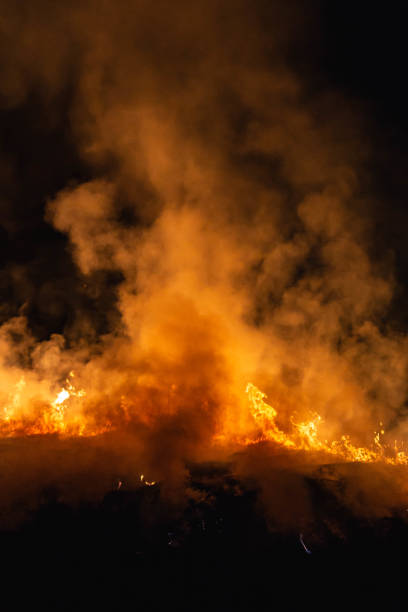 istock burning grass in a field at night in spring 1144649820