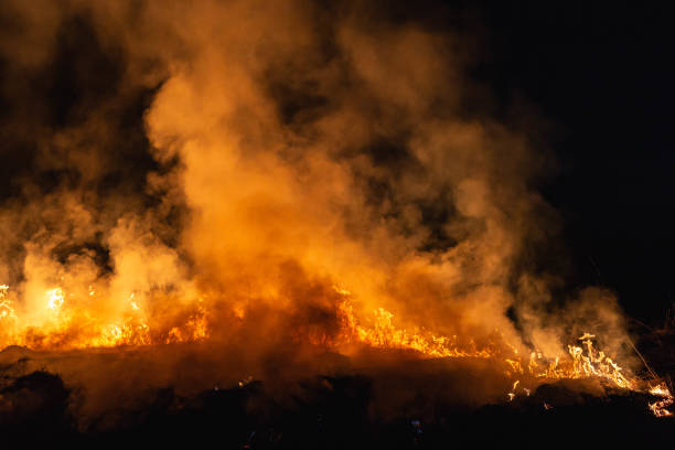 istock burning grass in a field at night in spring 1144649827