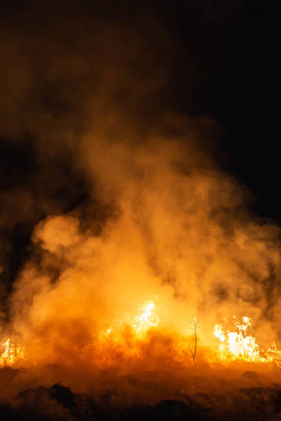 istock burning grass in a field at night in spring 1144649830