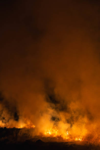 istock burning grass in a field at night in spring 1144649838