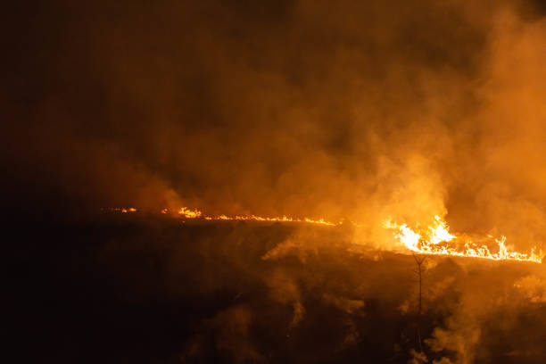 istock burning grass in a field at night in spring 1144649872