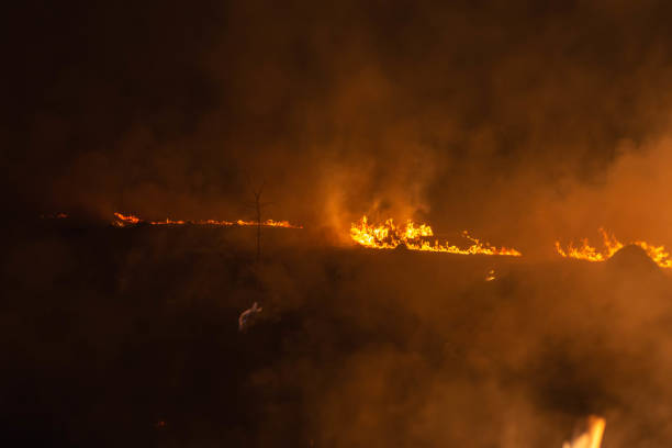 istock burning grass in a field at night in spring 1144649877