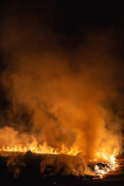 istock burning grass in a field at night in spring 1144649887