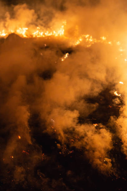 istock burning grass in a field at night in spring 1144649890