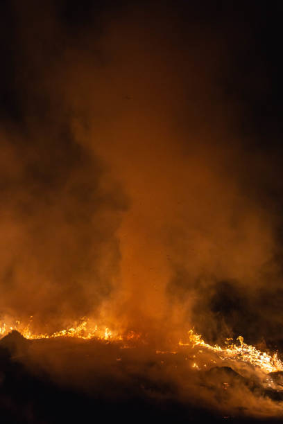 istock burning grass in a field at night in spring 1144649895