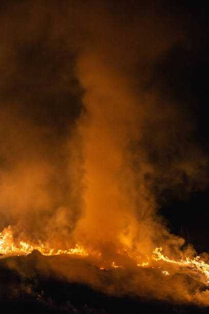 istock burning grass in a field at night in spring 1144649902