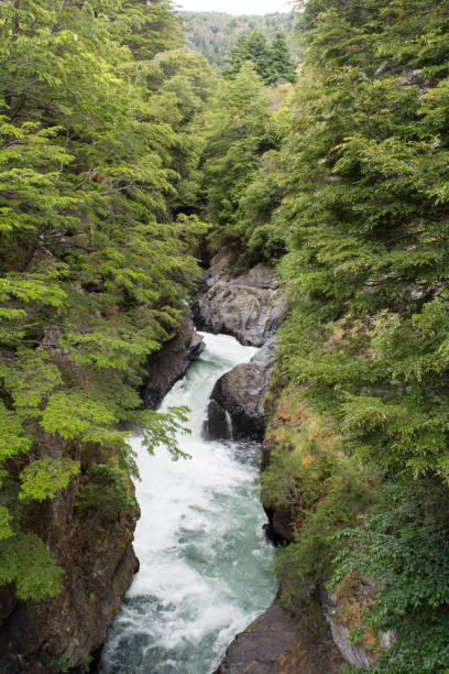 istock Carretera Austral Chile Aysen 1144652915