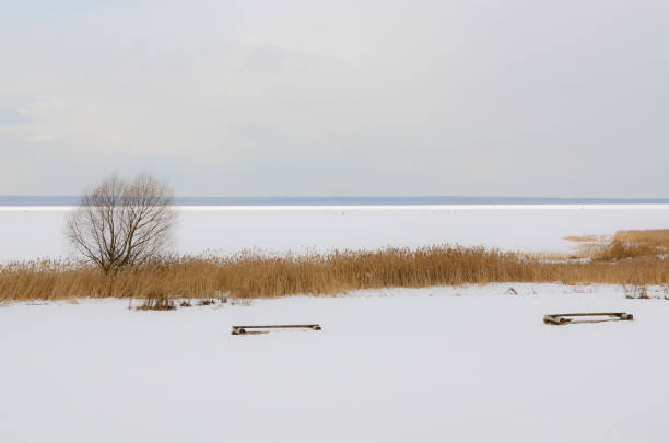 lago plescheevo, pereslavl-zalessky, región de yaroslavl, rusia - plescheevo fotografías e imágenes de stock