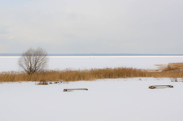 plescheevo lake, pereslavl-zalessky, yaroslavl region, rússia - plescheevo - fotografias e filmes do acervo