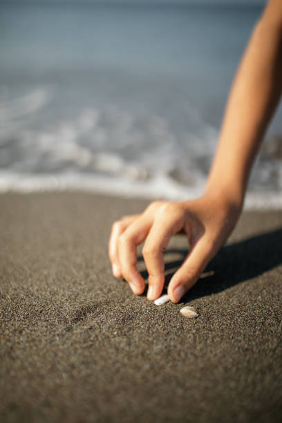 istock Girl picking up shells on sand beach 1144654661