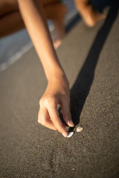 istock Girl picking up shells on sand beach 1144655181