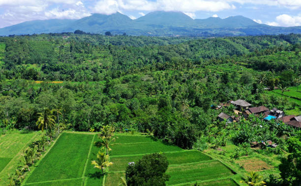 istock Pest Village, Bali. 1144655467