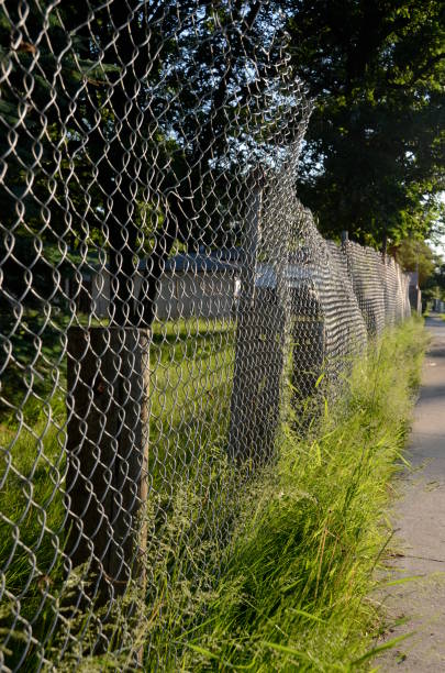 istock Chainlink fence and tall grass 1144655798