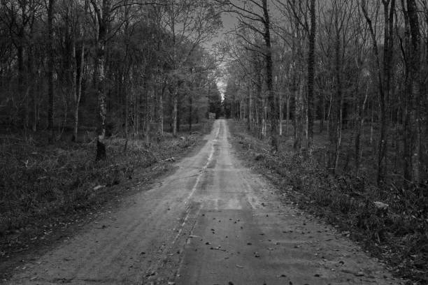 istock Woodland track 1144656008