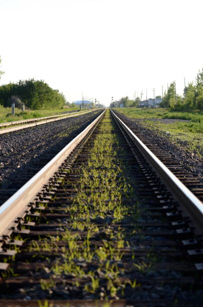 istock two train tracks disappearing into the horizon 1144656125