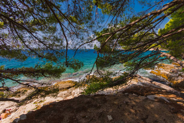 istock Island Murter turquoise lagoon beach, Dalmatia, Croatia 1144658593
