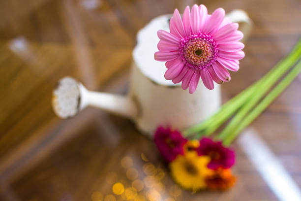 istock Vintage style watering can with arranged flowers 1144658597