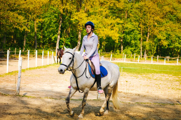istock Woman practicing with her horse outdoors 1144659556